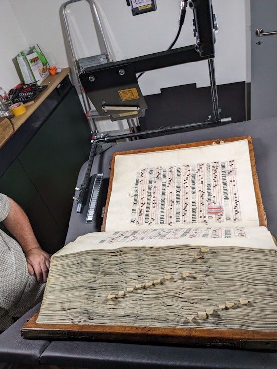 Anoniem PXL 20230726 100014894 kleineruimte